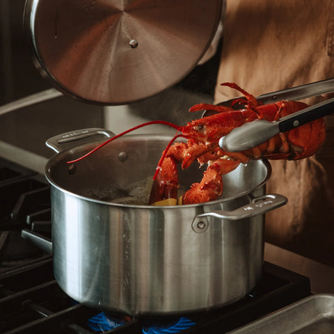 Stainless Clad Stock Pot